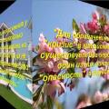 Смотреть видео