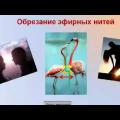 Смотреть видео