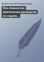 Далай-лама. Путь блаженства: практическое руководство по стадиям медитации Далай-лама. Путь блаженства: практическое руководство по стадиям медитации